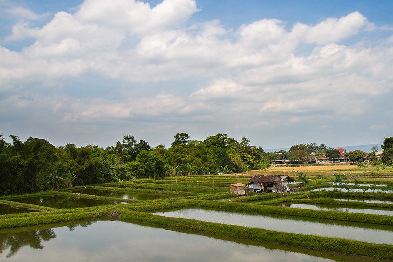 Tourism in Indonesia
