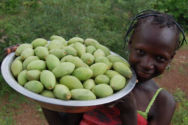 2020 Global Hunger Index results