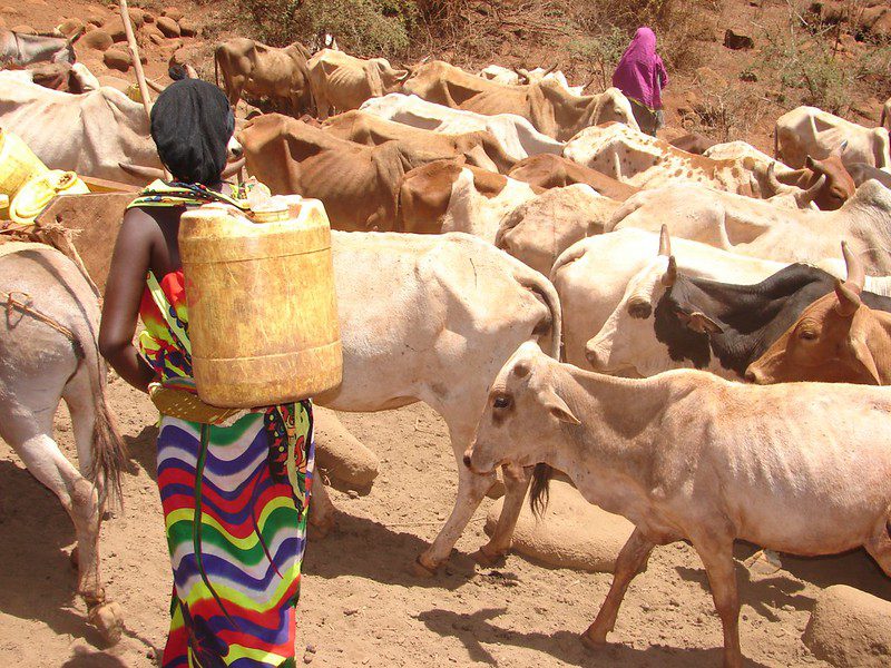 GPS Tracking of Livestock in Africa