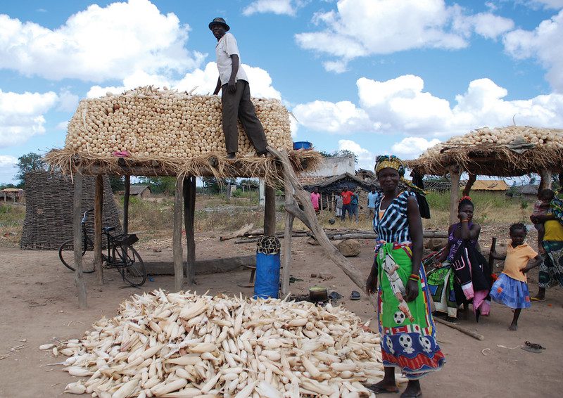 Solar-Powered Cold Storage in Africa