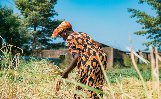 3 Community Programs Empowering Women in Senegal