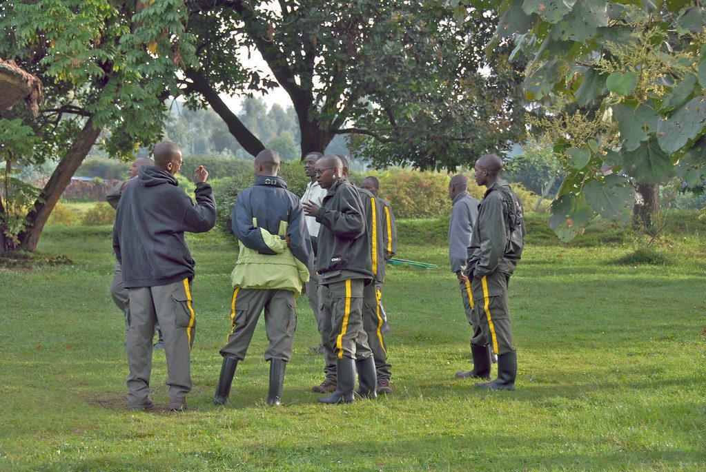 Mountain Gorilla Conservation and Poverty Reduction