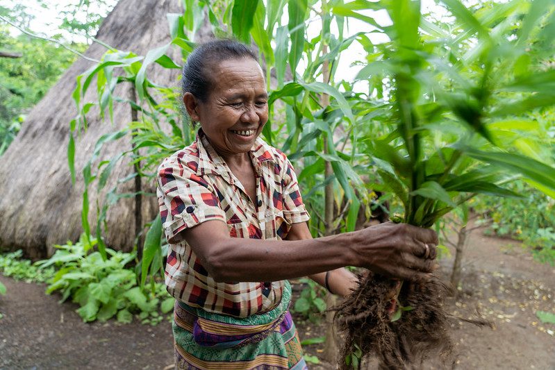Poverty in Timor-Leste