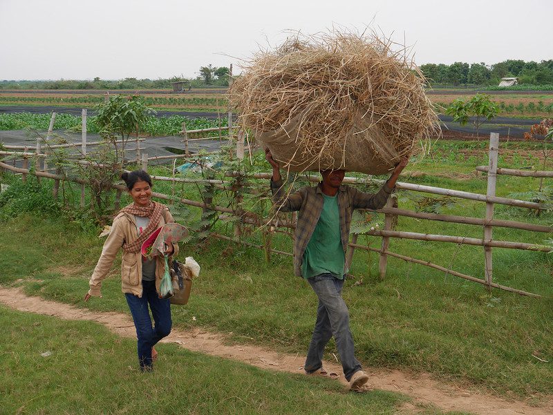 Agricultural Markets in Cambodia 
