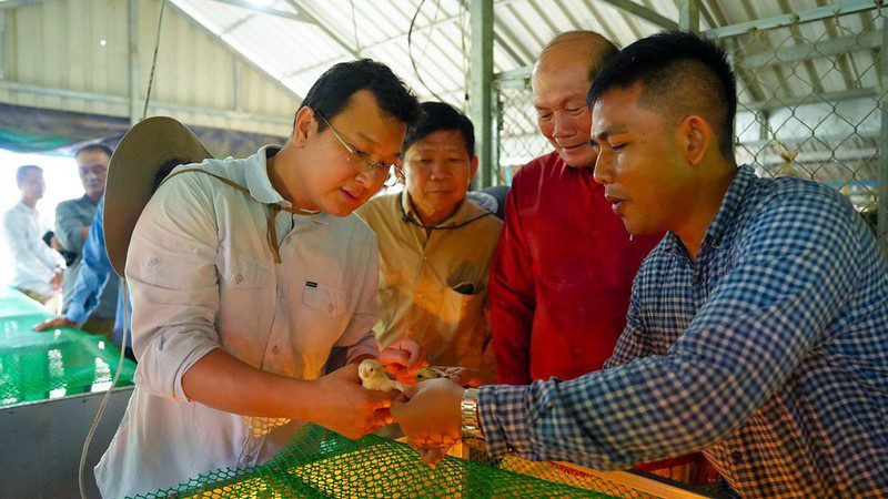 bird flu in cambodia