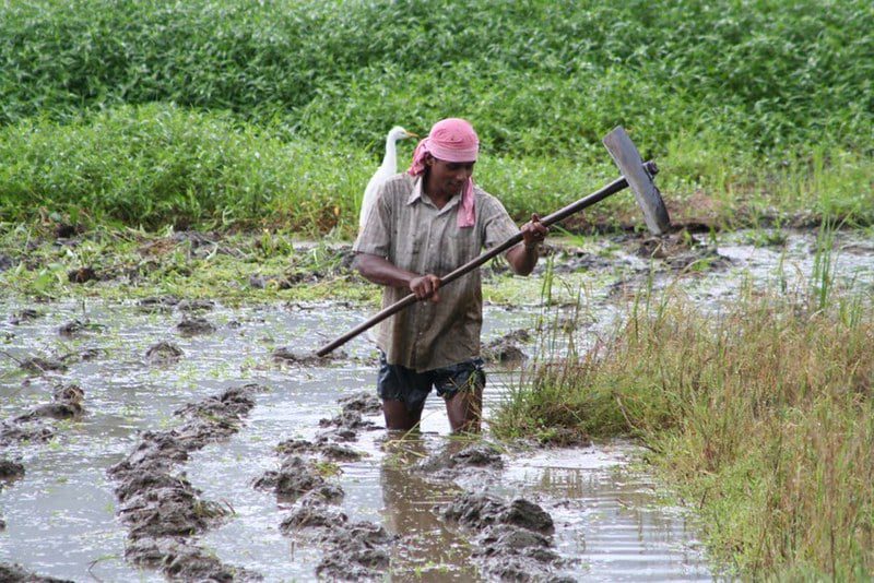 Food Systems in Sri Lanka