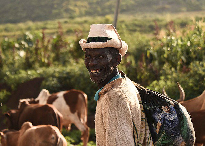 African Agritech Startups