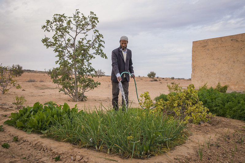 Food Insecurity in Tunisia