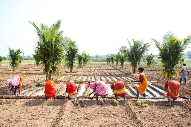 Agricultural Tech Startups in India