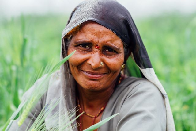 Agroforestry Can Reduce Global Poverty
