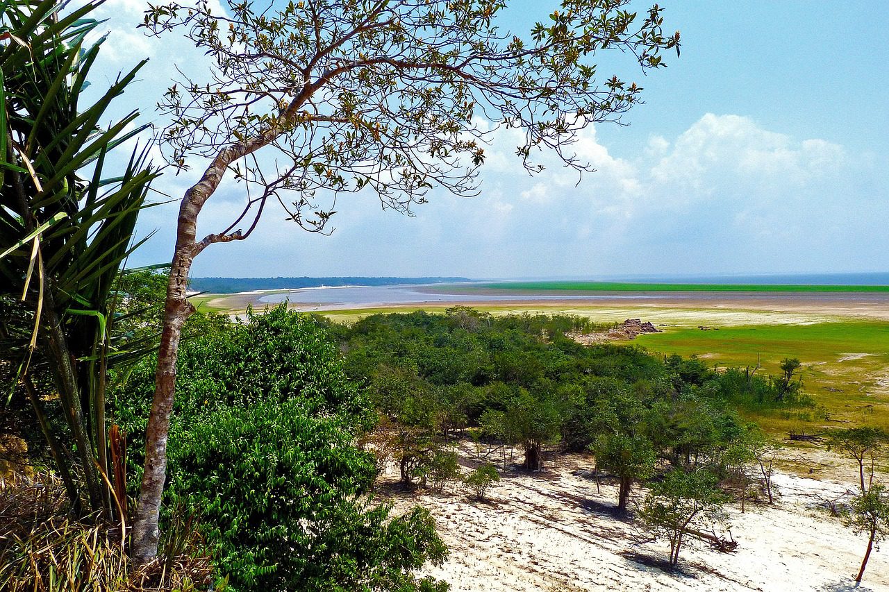Poverty in the Amazon