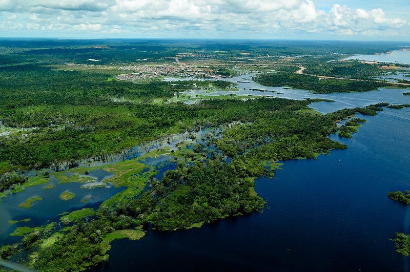 Amazon Rainforest Reforestation