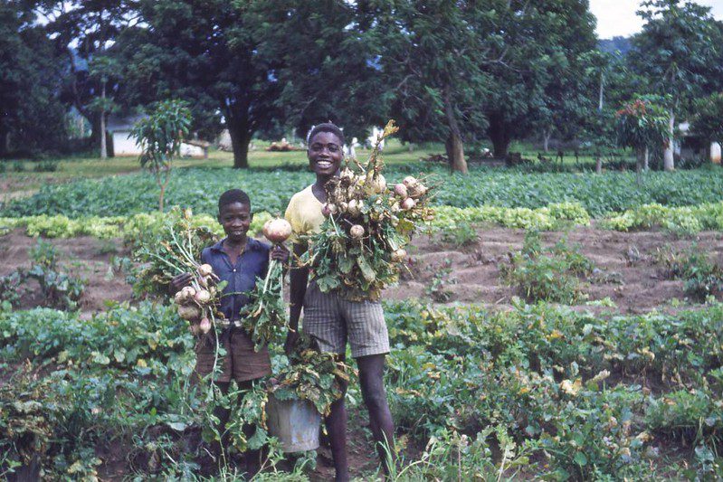 Angola’s Rural Poverty