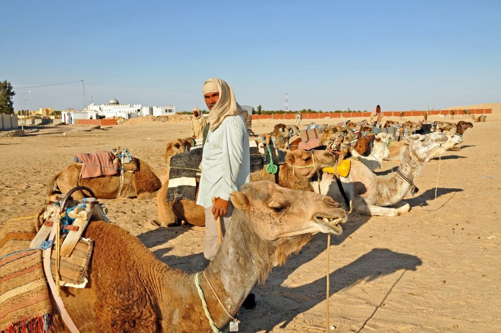 Arab Spring