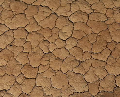 arable land loss
