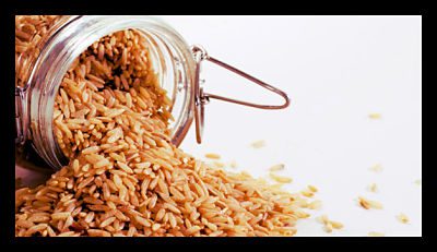 The Role of Rice in the Fight Against Poverty
