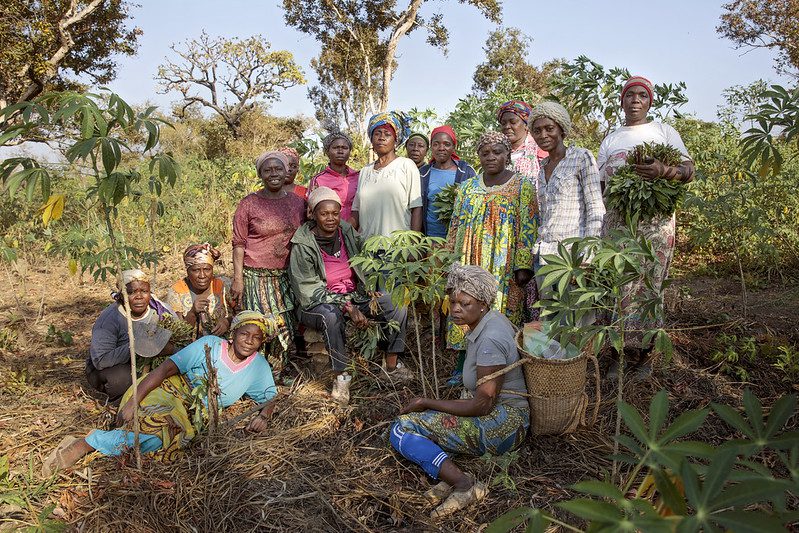 Women's Rights in Cameroon