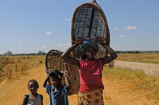 Comparing Gender Inequality Examples and Progress Across the Globe