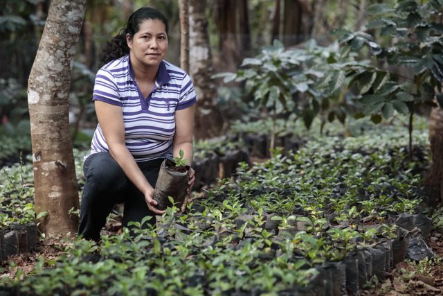 Organizations in Costa Rica