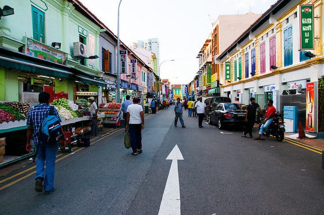 Dengue Fever in Singapore Is on the Rise