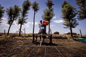 Drip Irrigation in Developing Countries