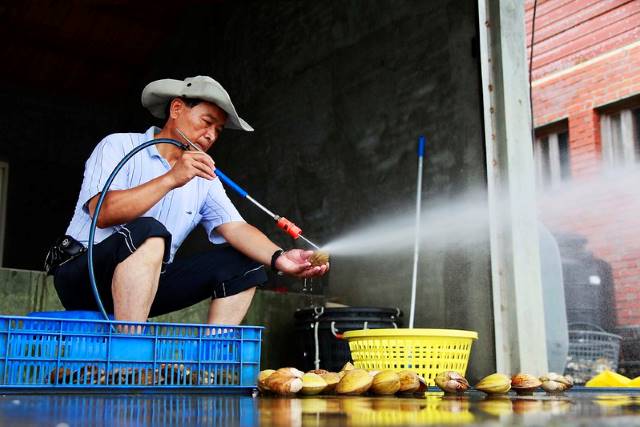 Drought In Taiwan