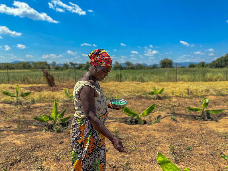 Drought in Zambia