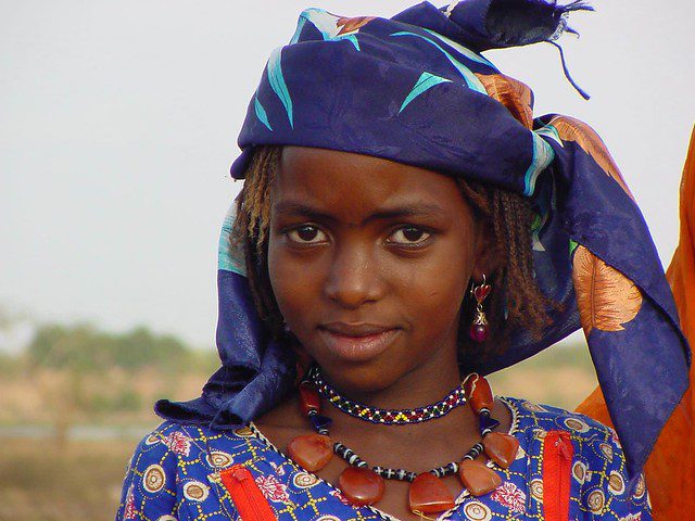 EUs Progress in Chad