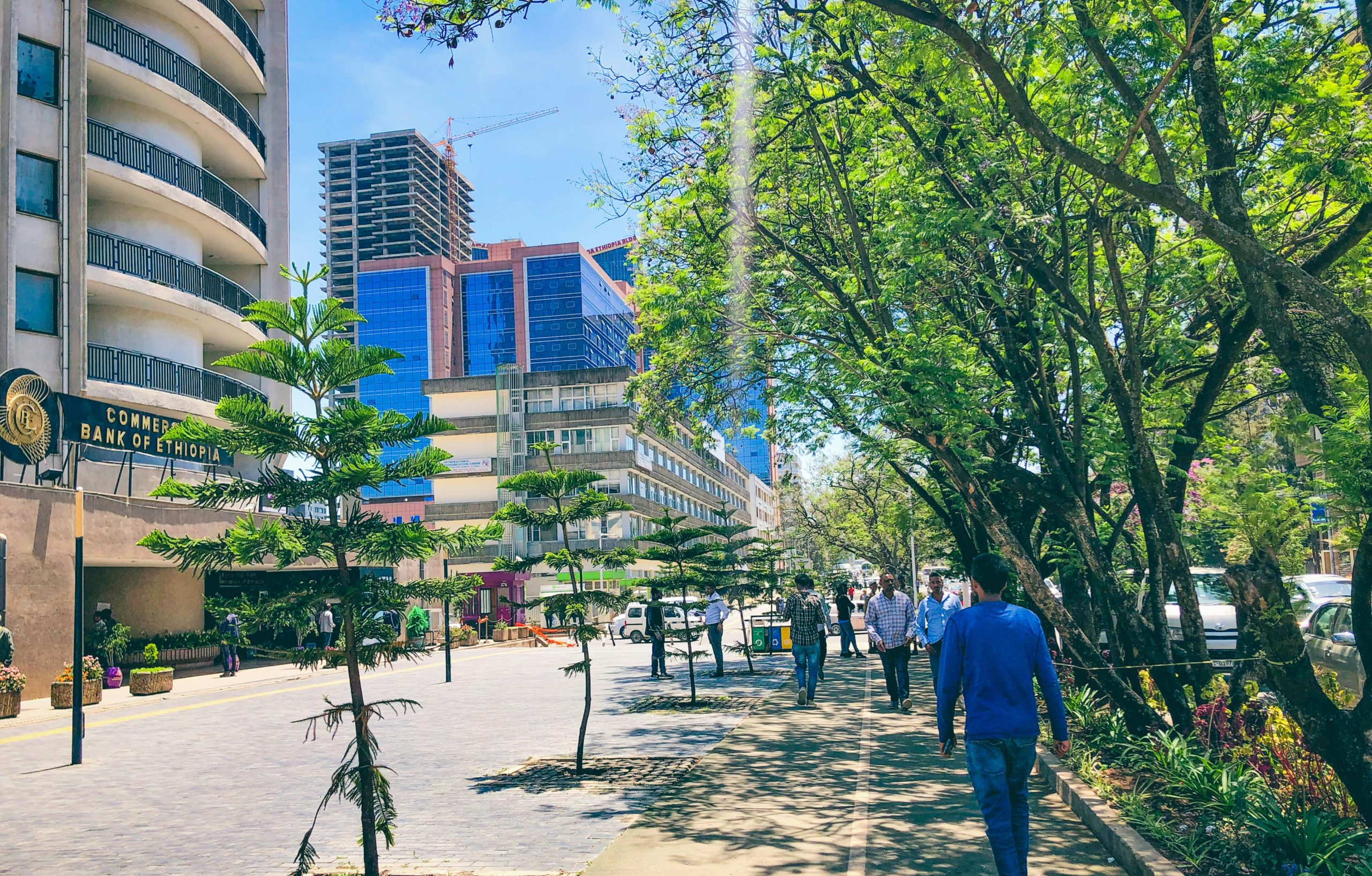 Economic Development in Ethiopia