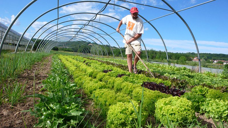 Ecovillage Projects