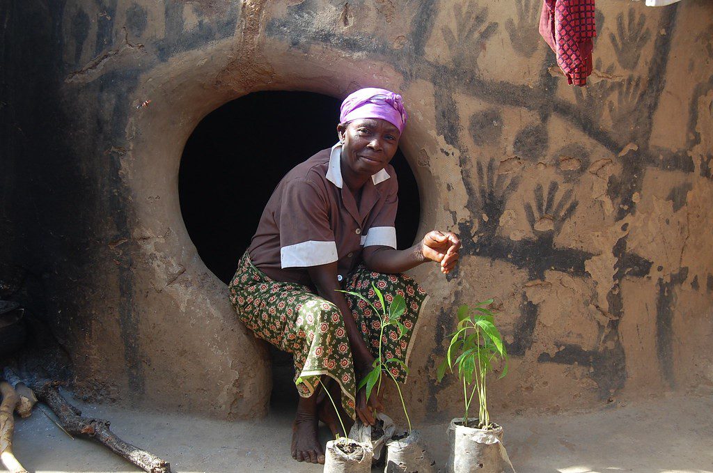Effects of Desertification
