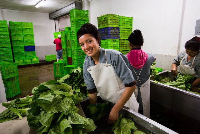 Expanding El Salvador's Markets