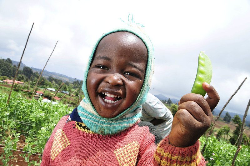 Food insecurity in Kenya