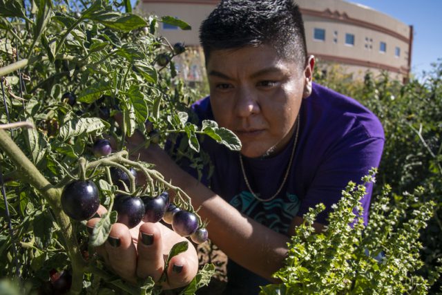 Food Sovereignty