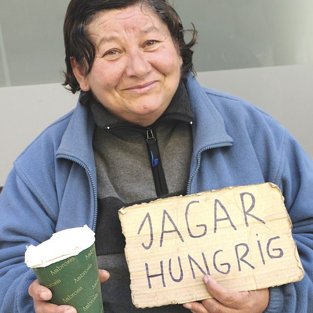 Facts About Poverty in Sweden