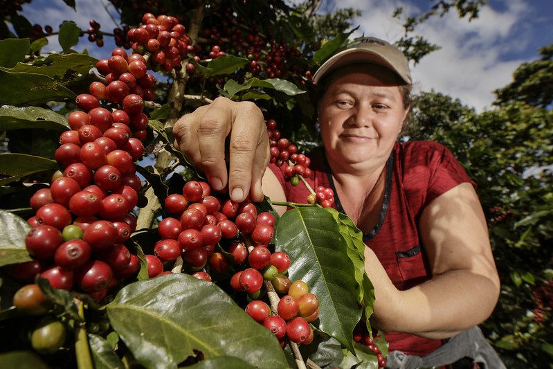 Fair Trade Products