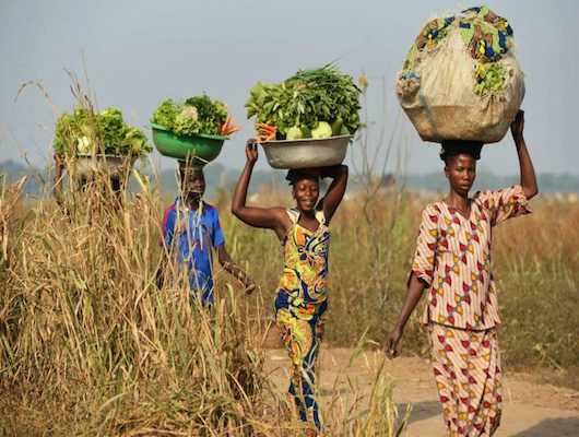 Female_Farmers