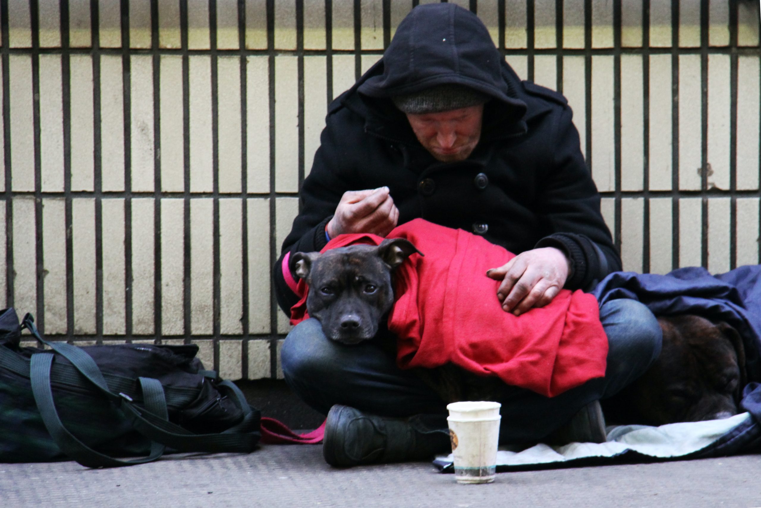 Fight Against Homelessness