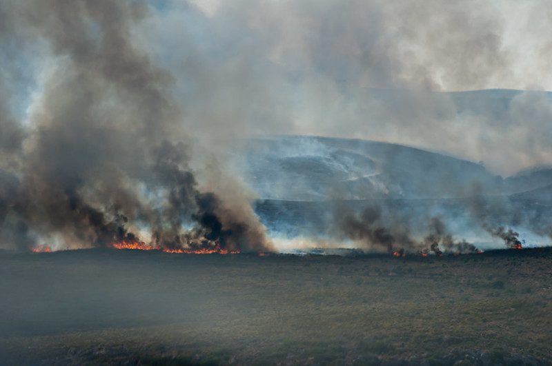 Fires in Greece