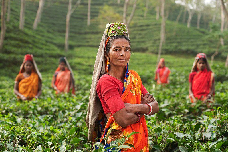 Five Businesses that Support Ending World Hunger