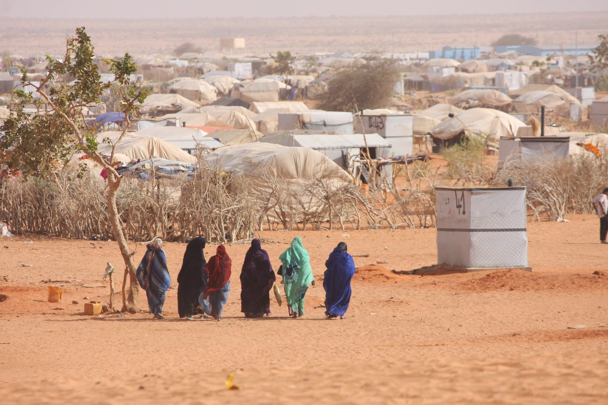 Fleeing Eritrea