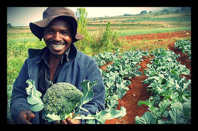 Food Aid Reform Act