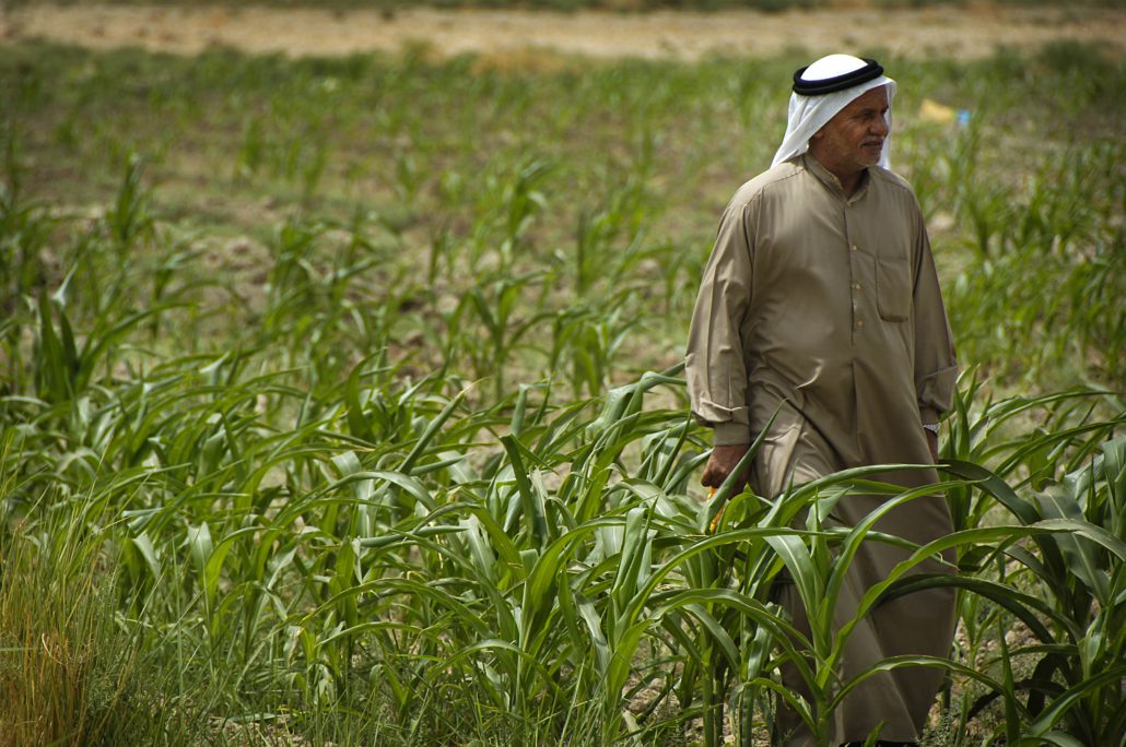 Food Insecurity in Iraq