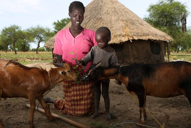Food Insecurity in South Sudan
