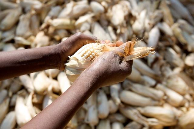 Food Insecurity in The Bahamas