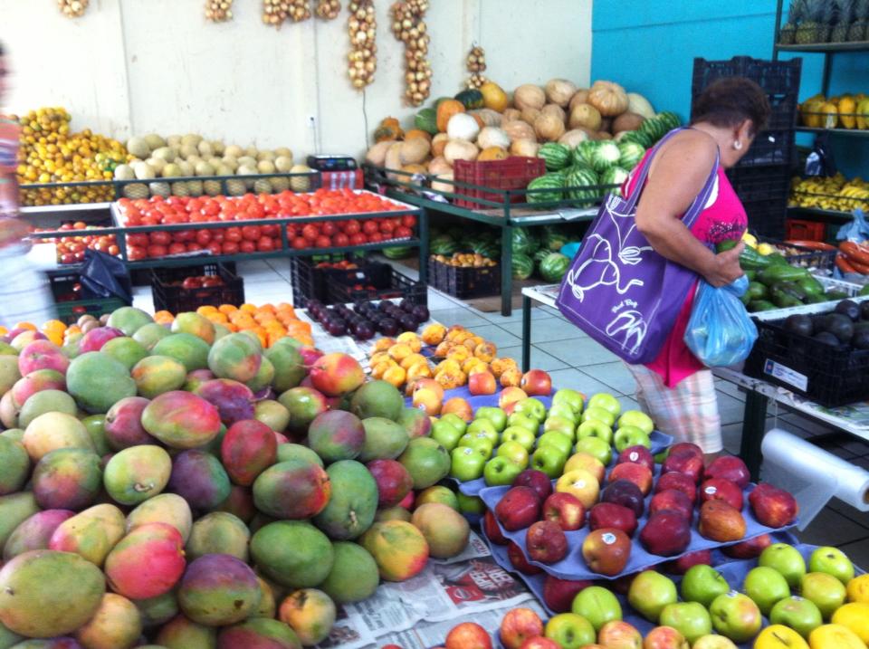 Food Systems in Costa Rica