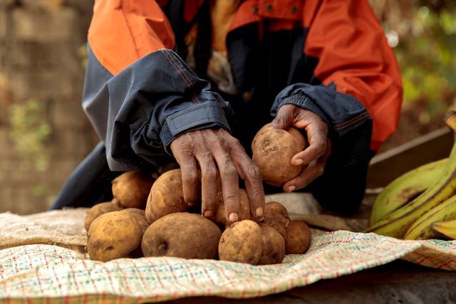 Food Systems