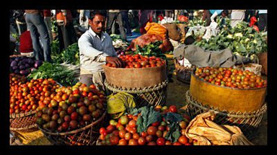 Global Food Insecurity