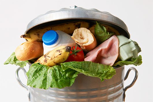 Food_Waste