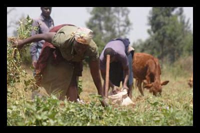 Gabon Inequality